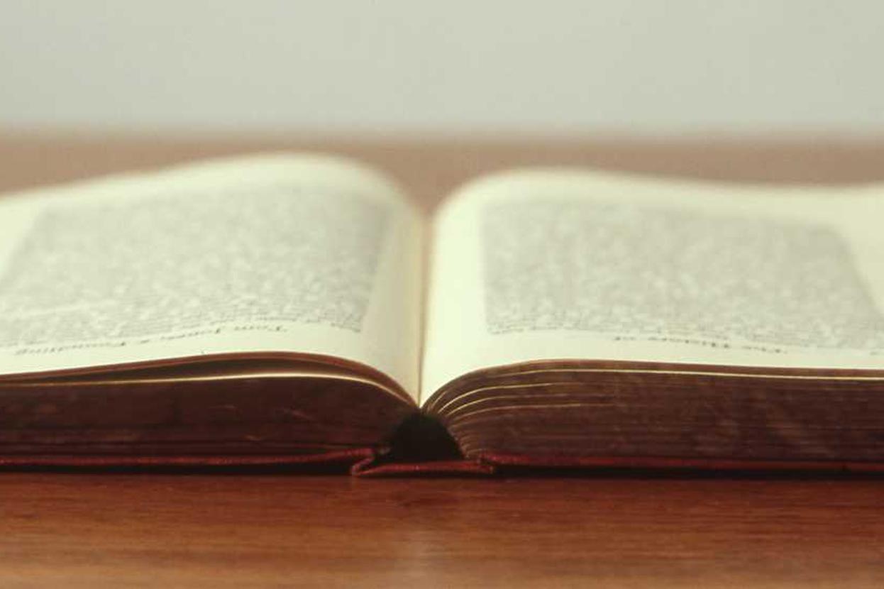 Quando o amor sai do discurso e entra em ação