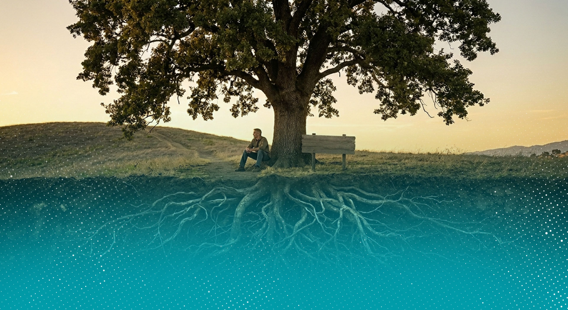 Aprofunde suas raízes